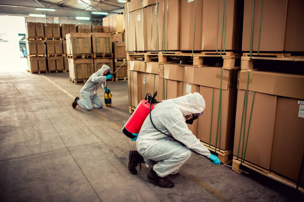 Best Exterminator Services  in Brockway, PA