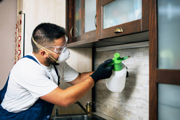 Best Pest Inspection Near Me  in Brockway, PA