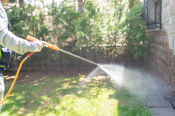 Best Pest Control for Homes  in Brockway, PA