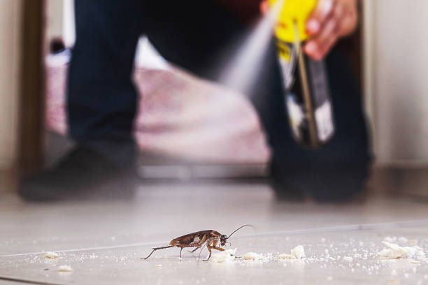 Wildlife Control Services in Brockway, PA