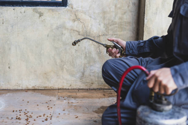 Best Wasp Removal Services  in Brockway, PA